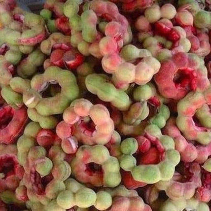 Imported Seeds Jangle Jalebi